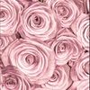chloecrawford08